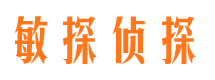 安国市侦探公司